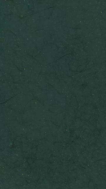 A proud moment as our young stars take their first step into leadership. ✨